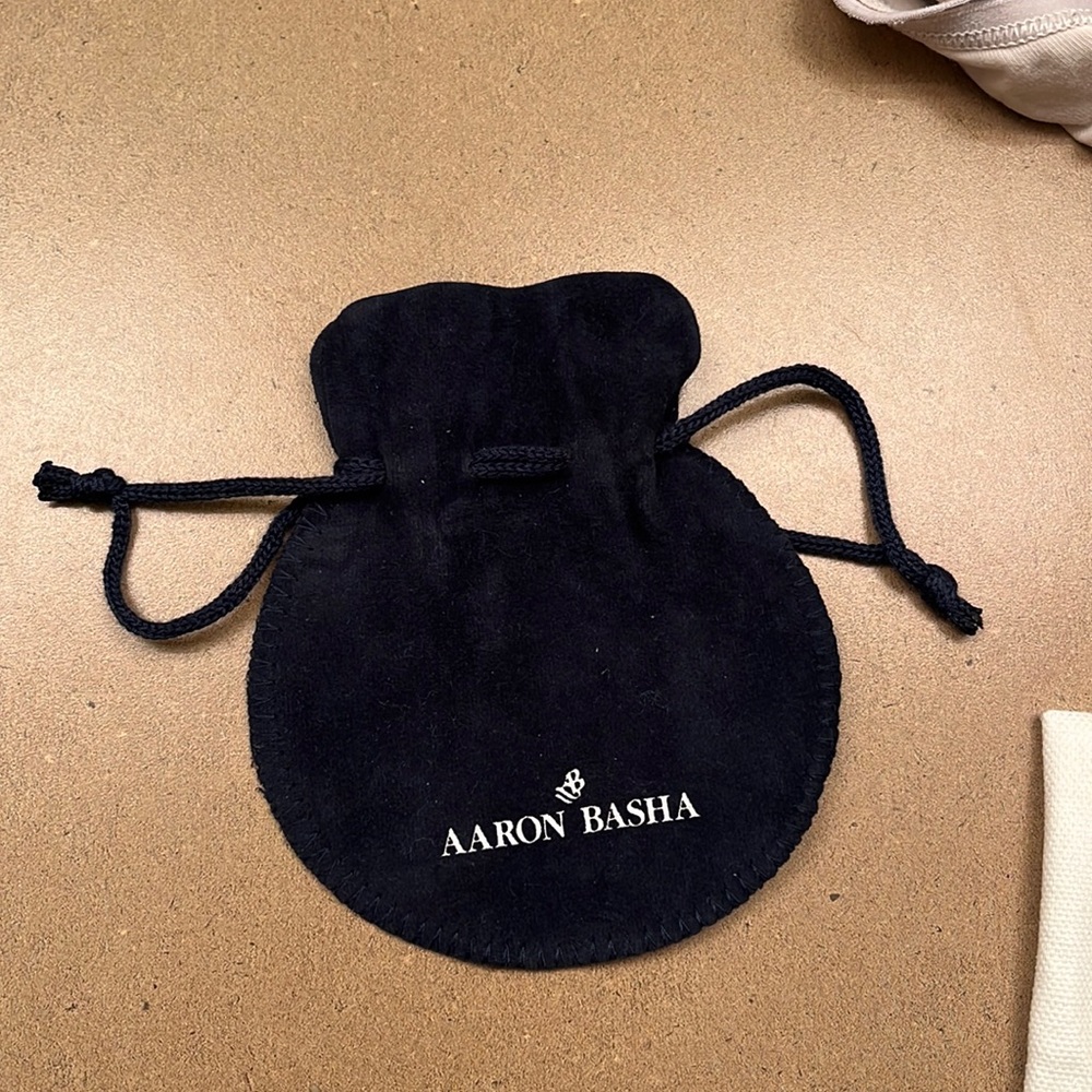 Aaron Basha dust bag